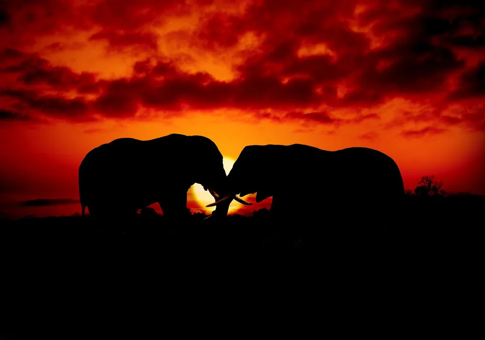 Voyager en Afrique